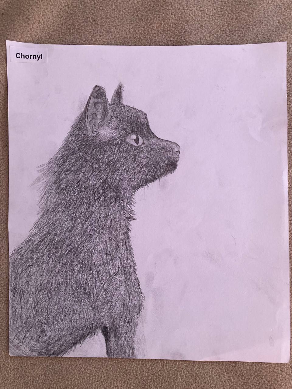 Chornyi
